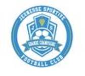 team_logo