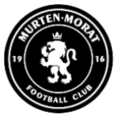 team_logo