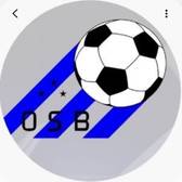 team_logo