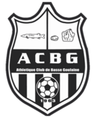 team_logo