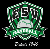 team_logo