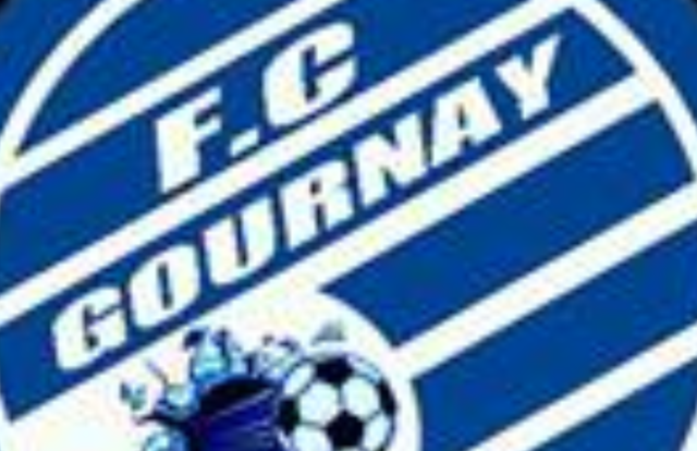 FC GOURNAY is a football team. They are using SportEasy, the best web and mobile app to manage any sports team (football, soccer, rugby, basketball, baseball, hockey, volleyball...). Coaches and managers can organize the games and practices or send group messages to their players. Players have convenient access to their schedule or statistics. SportEasy is free and available online and there’s an app for iPhone and Android.