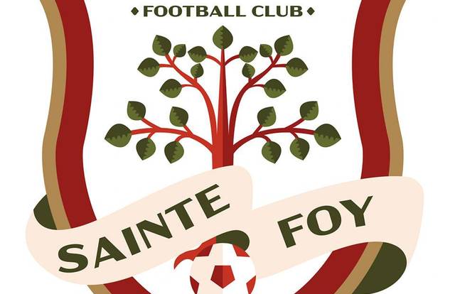 FC Sainte Foy is a football team. They are using SportEasy, the best web and mobile app to manage any sports team (football, soccer, rugby, basketball, baseball, hockey, volleyball...). Coaches and managers can organize the games and practices or send group messages to their players. Players have convenient access to their schedule or statistics. SportEasy is free and available online and there’s an app for iPhone and Android.