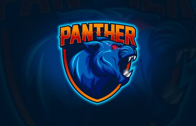 PANTHER E-SPORT is a football team. They are using SportEasy, the best web and mobile app to manage any sports team (football, soccer, rugby, basketball, baseball, hockey, volleyball...). Coaches and managers can organize the games and practices or send group messages to their players. Players have convenient access to their schedule or statistics. SportEasy is free and available online and there’s an app for iPhone and Android.