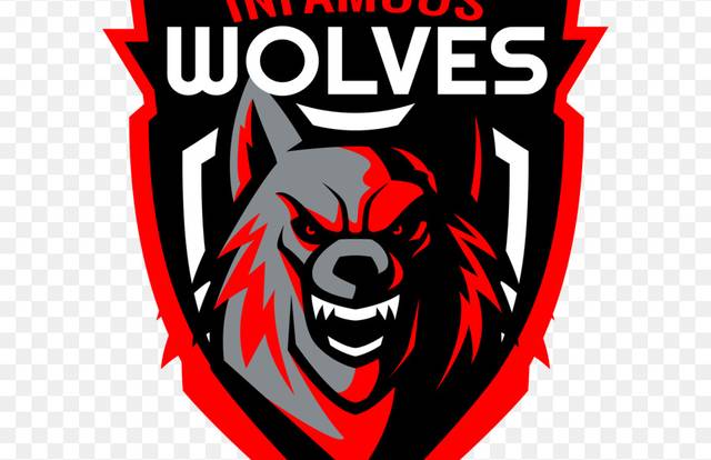 WOLVES is a football team. They are using SportEasy, the best web and mobile app to manage any sports team (football, soccer, rugby, basketball, baseball, hockey, volleyball...). Coaches and managers can organize the games and practices or send group messages to their players. Players have convenient access to their schedule or statistics. SportEasy is free and available online and there’s an app for iPhone and Android.