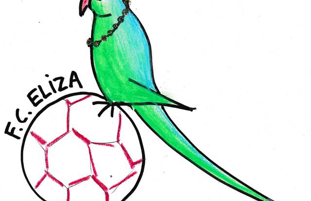 FC Eliza is a football team. They are using SportEasy, the best web and mobile app to manage any sports team (football, soccer, rugby, basketball, baseball, hockey, volleyball...). Coaches and managers can organize the games and practices or send group messages to their players. Players have convenient access to their schedule or statistics. SportEasy is free and available online and there’s an app for iPhone and Android.