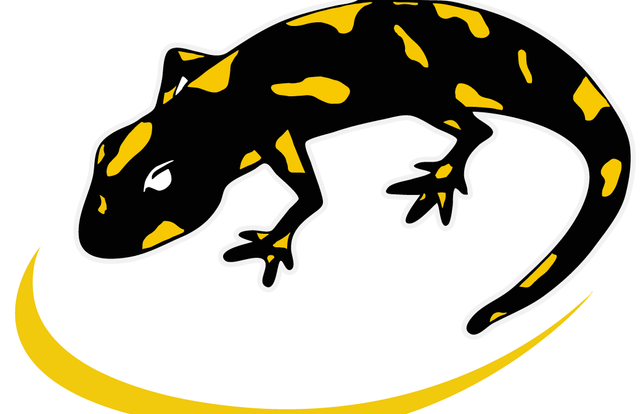 Salamanders is a rugby team. They are using SportEasy, the best web and mobile app to manage any sports team (football, soccer, rugby, basketball, baseball, hockey, volleyball...). Coaches and managers can organize the games and practices or send group messages to their players. Players have convenient access to their schedule or statistics. SportEasy is free and available online and there’s an app for iPhone and Android.