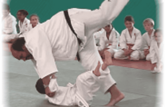 Éveil 2020 is a judo team. They are using SportEasy, the best web and mobile app to manage any sports team (football, soccer, rugby, basketball, baseball, hockey, volleyball...). Coaches and managers can organize the games and practices or send group messages to their players. Players have convenient access to their schedule or statistics. SportEasy is free and available online and there’s an app for iPhone and Android.