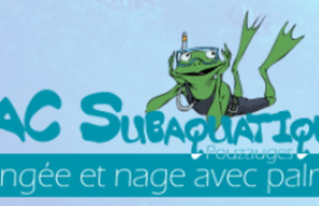 PLONGEUR / NAGEUR is a water_polo team. They are using SportEasy, the best web and mobile app to manage any sports team (football, soccer, rugby, basketball, baseball, hockey, volleyball...). Coaches and managers can organize the games and practices or send group messages to their players. Players have convenient access to their schedule or statistics. SportEasy is free and available online and there’s an app for iPhone and Android.
