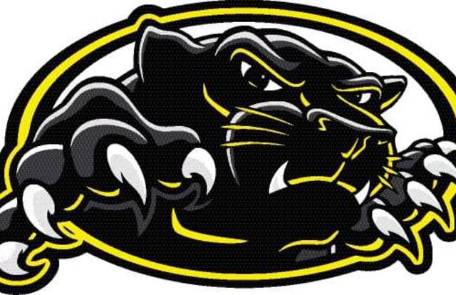 HC Black Cats is a ice_hockey team. They are using SportEasy, the best web and mobile app to manage any sports team (football, soccer, rugby, basketball, baseball, hockey, volleyball...). Coaches and managers can organize the games and practices or send group messages to their players. Players have convenient access to their schedule or statistics. SportEasy is free and available online and there’s an app for iPhone and Android.