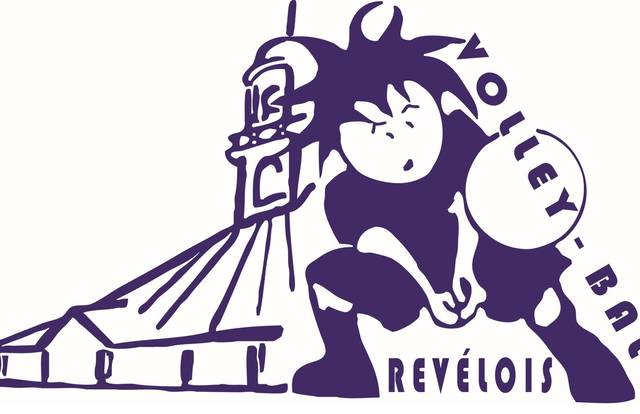 Revel masculin is a volley team. They are using SportEasy, the best web and mobile app to manage any sports team (football, soccer, rugby, basketball, baseball, hockey, volleyball...). Coaches and managers can organize the games and practices or send group messages to their players. Players have convenient access to their schedule or statistics. SportEasy is free and available online and there’s an app for iPhone and Android.