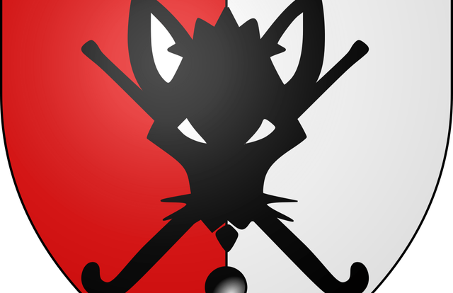 Amicale des Hockeyeurs de Meaux is a field_hockey team. They are using SportEasy, the best web and mobile app to manage any sports team (football, soccer, rugby, basketball, baseball, hockey, volleyball...). Coaches and managers can organize the games and practices or send group messages to their players. Players have convenient access to their schedule or statistics. SportEasy is free and available online and there’s an app for iPhone and Android.