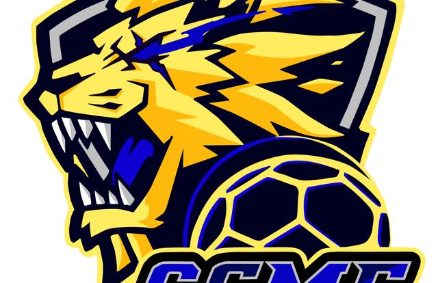 CSMF Handball is a handball team. They are using SportEasy, the best web and mobile app to manage any sports team (football, soccer, rugby, basketball, baseball, hockey, volleyball...). Coaches and managers can organize the games and practices or send group messages to their players. Players have convenient access to their schedule or statistics. SportEasy is free and available online and there’s an app for iPhone and Android.