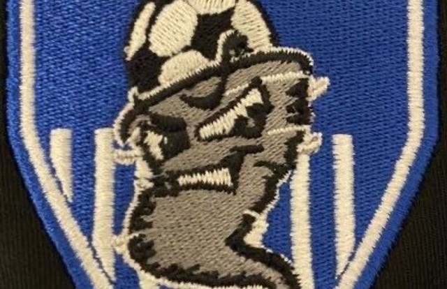 Fc Tornado 🌪Veterant is a football team. They are using SportEasy, the best web and mobile app to manage any sports team (football, soccer, rugby, basketball, baseball, hockey, volleyball...). Coaches and managers can organize the games and practices or send group messages to their players. Players have convenient access to their schedule or statistics. SportEasy is free and available online and there’s an app for iPhone and Android.
