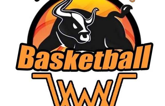 CARHAIX BASKET is a basket team. They are using SportEasy, the best web and mobile app to manage any sports team (football, soccer, rugby, basketball, baseball, hockey, volleyball...). Coaches and managers can organize the games and practices or send group messages to their players. Players have convenient access to their schedule or statistics. SportEasy is free and available online and there’s an app for iPhone and Android.