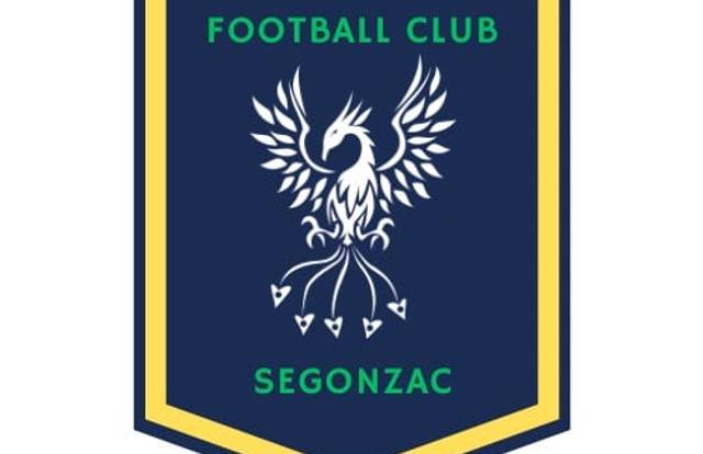 FC SEGONZAC A is a football team. They are using SportEasy, the best web and mobile app to manage any sports team (football, soccer, rugby, basketball, baseball, hockey, volleyball...). Coaches and managers can organize the games and practices or send group messages to their players. Players have convenient access to their schedule or statistics. SportEasy is free and available online and there’s an app for iPhone and Android.