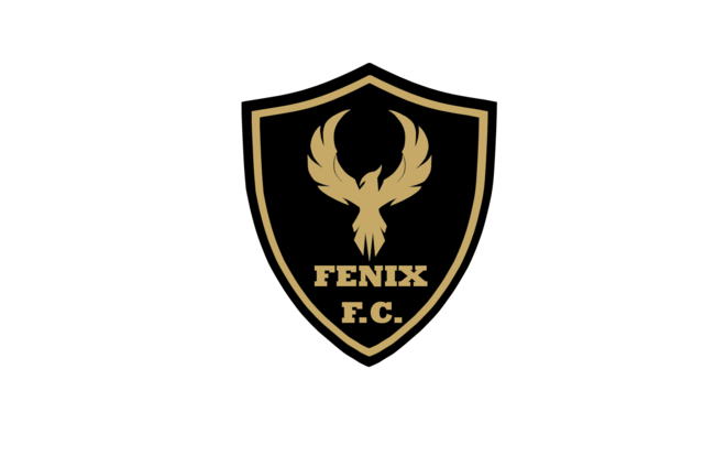 Fénix FC is a football team. They are using SportEasy, the best web and mobile app to manage any sports team (football, soccer, rugby, basketball, baseball, hockey, volleyball...). Coaches and managers can organize the games and practices or send group messages to their players. Players have convenient access to their schedule or statistics. SportEasy is free and available online and there’s an app for iPhone and Android.
