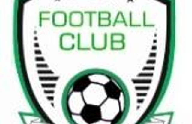 FC dainville is a football team. They are using SportEasy, the best web and mobile app to manage any sports team (football, soccer, rugby, basketball, baseball, hockey, volleyball...). Coaches and managers can organize the games and practices or send group messages to their players. Players have convenient access to their schedule or statistics. SportEasy is free and available online and there’s an app for iPhone and Android.