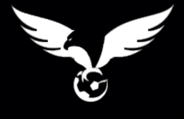 Amadeus AA - Eagles is a football team. They are using SportEasy, the best web and mobile app to manage any sports team (football, soccer, rugby, basketball, baseball, hockey, volleyball...). Coaches and managers can organize the games and practices or send group messages to their players. Players have convenient access to their schedule or statistics. SportEasy is free and available online and there’s an app for iPhone and Android.
