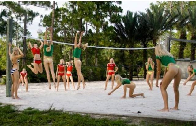 saint herblain volley ball is a volley team. They are using SportEasy, the best web and mobile app to manage any sports team (football, soccer, rugby, basketball, baseball, hockey, volleyball...). Coaches and managers can organize the games and practices or send group messages to their players. Players have convenient access to their schedule or statistics. SportEasy is free and available online and there’s an app for iPhone and Android.