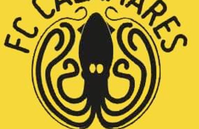 FC CALAMARES is a football team. They are using SportEasy, the best web and mobile app to manage any sports team (football, soccer, rugby, basketball, baseball, hockey, volleyball...). Coaches and managers can organize the games and practices or send group messages to their players. Players have convenient access to their schedule or statistics. SportEasy is free and available online and there’s an app for iPhone and Android.