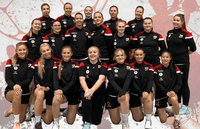 SIF/Hessa IL is a handball team. They are using SportEasy, the best web and mobile app to manage any sports team (football, soccer, rugby, basketball, baseball, hockey, volleyball...). Coaches and managers can organize the games and practices or send group messages to their players. Players have convenient access to their schedule or statistics. SportEasy is free and available online and there’s an app for iPhone and Android.