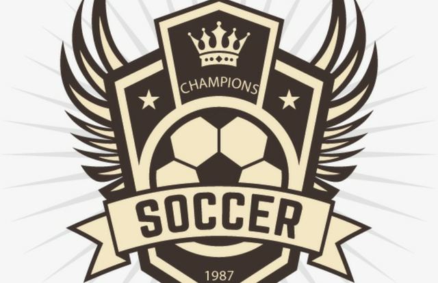 Mardi Soccer is a football team. They are using SportEasy, the best web and mobile app to manage any sports team (football, soccer, rugby, basketball, baseball, hockey, volleyball...). Coaches and managers can organize the games and practices or send group messages to their players. Players have convenient access to their schedule or statistics. SportEasy is free and available online and there’s an app for iPhone and Android.