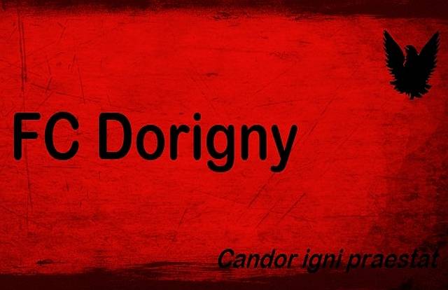 Dorigny is a football team. They are using SportEasy, the best web and mobile app to manage any sports team (football, soccer, rugby, basketball, baseball, hockey, volleyball...). Coaches and managers can organize the games and practices or send group messages to their players. Players have convenient access to their schedule or statistics. SportEasy is free and available online and there’s an app for iPhone and Android.