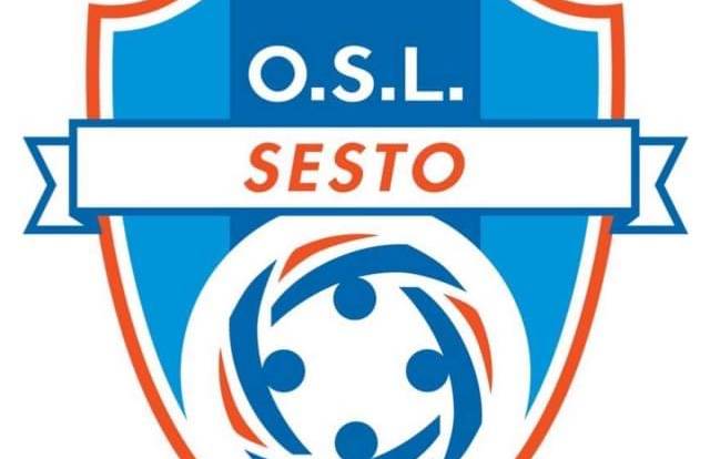 OSL 2015 SESTO is a football team. They are using SportEasy, the best web and mobile app to manage any sports team (football, soccer, rugby, basketball, baseball, hockey, volleyball...). Coaches and managers can organize the games and practices or send group messages to their players. Players have convenient access to their schedule or statistics. SportEasy is free and available online and there’s an app for iPhone and Android.
