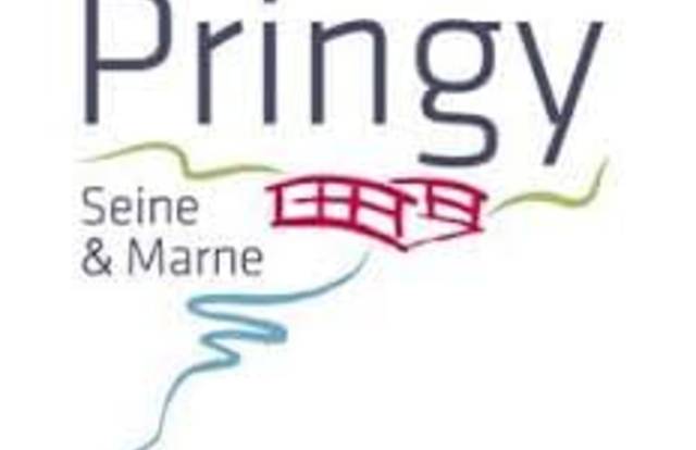 Pringy M1 (CBP-4) - Division 2 Masculine - Poule C is a generic team. They are using SportEasy, the best web and mobile app to manage any sports team (football, soccer, rugby, basketball, baseball, hockey, volleyball...). Coaches and managers can organize the games and practices or send group messages to their players. Players have convenient access to their schedule or statistics. SportEasy is free and available online and there’s an app for iPhone and Android.
