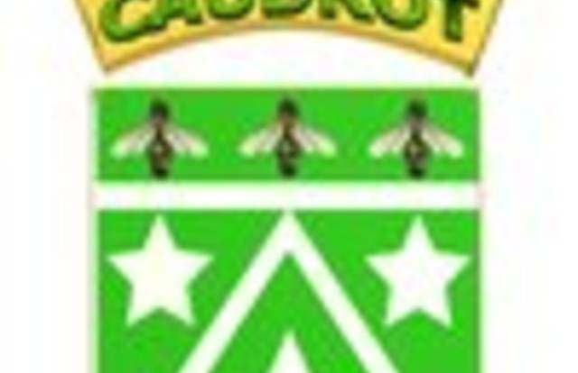 VAILLANTE SPORTIVE DE CAUDROT is a football team. They are using SportEasy, the best web and mobile app to manage any sports team (football, soccer, rugby, basketball, baseball, hockey, volleyball...). Coaches and managers can organize the games and practices or send group messages to their players. Players have convenient access to their schedule or statistics. SportEasy is free and available online and there’s an app for iPhone and Android.