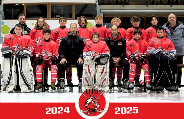 Lynx U15 Valence is a ice_hockey team. They are using SportEasy, the best web and mobile app to manage any sports team (football, soccer, rugby, basketball, baseball, hockey, volleyball...). Coaches and managers can organize the games and practices or send group messages to their players. Players have convenient access to their schedule or statistics. SportEasy is free and available online and there’s an app for iPhone and Android.